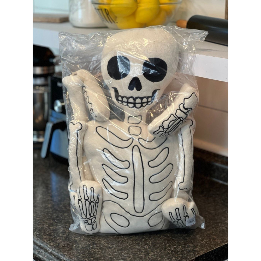 New Pottery Barn Mr Bones Skeleton Pillow